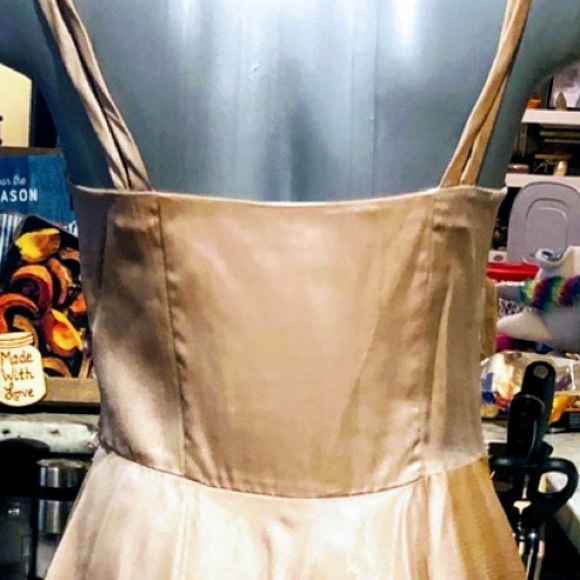 Blush Beaded/Lace Bodice Cocktail Dress - Picture 6 of 8